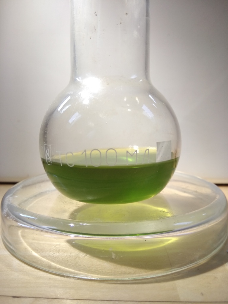   .      . Extraction of chlorophyll with isopropanol. Luminescence of chlorophyll extract under ultraviolet light