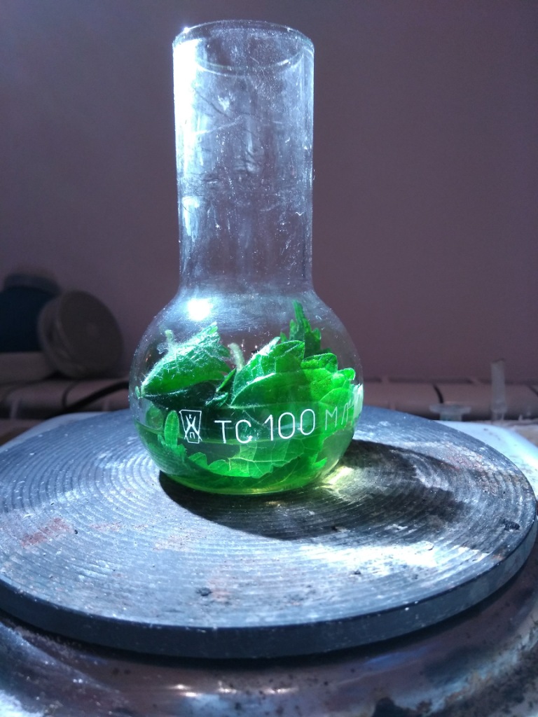   .      . Extraction of chlorophyll with acetone. Luminescence of chlorophyll extract under ultraviolet light