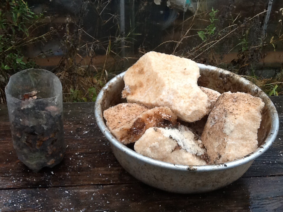  :   - .  #7. Explosion of mixture: ammonium nitrate - rosin. Experiment #7