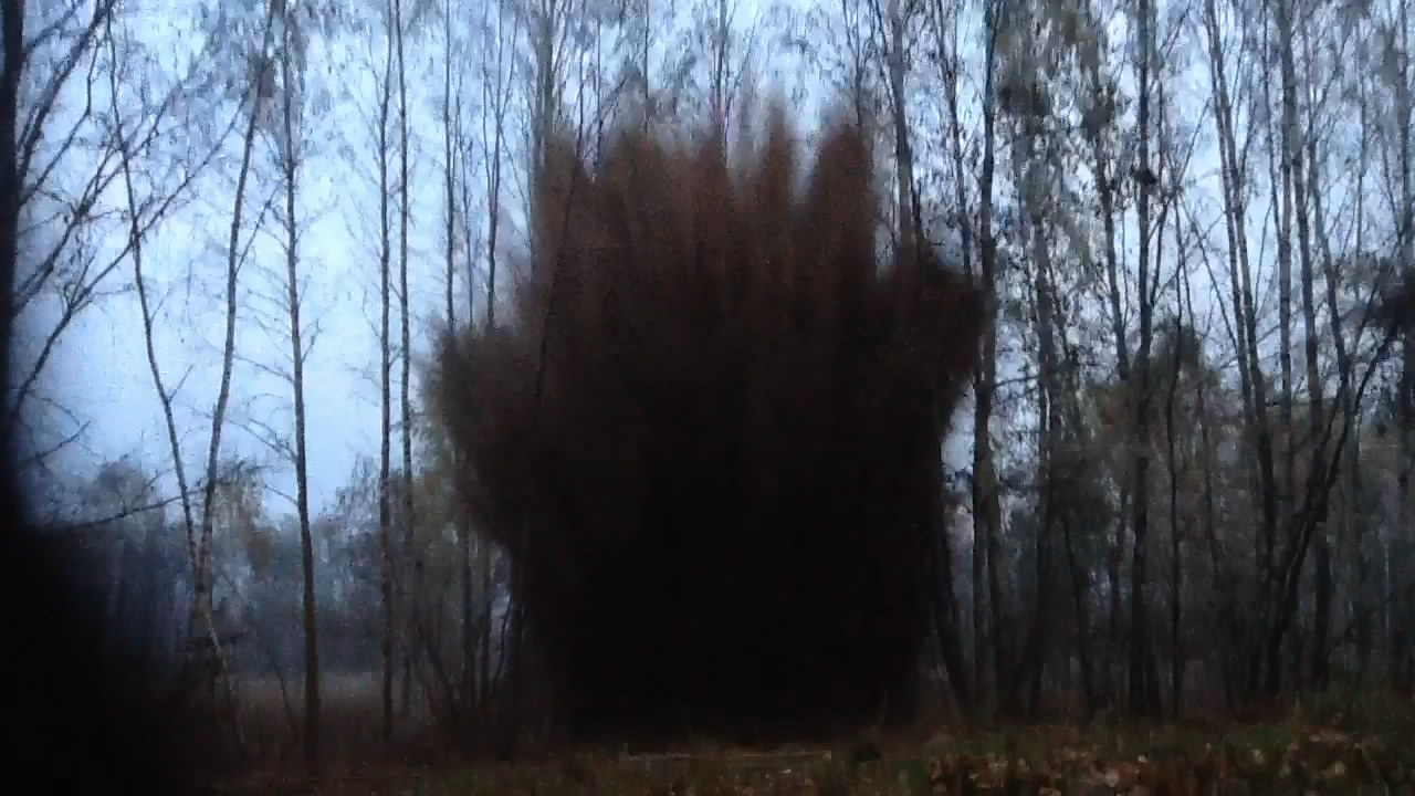  :   - .  #8. Explosion of mixture: ammonium nitrate - sulfur. Experiment #8