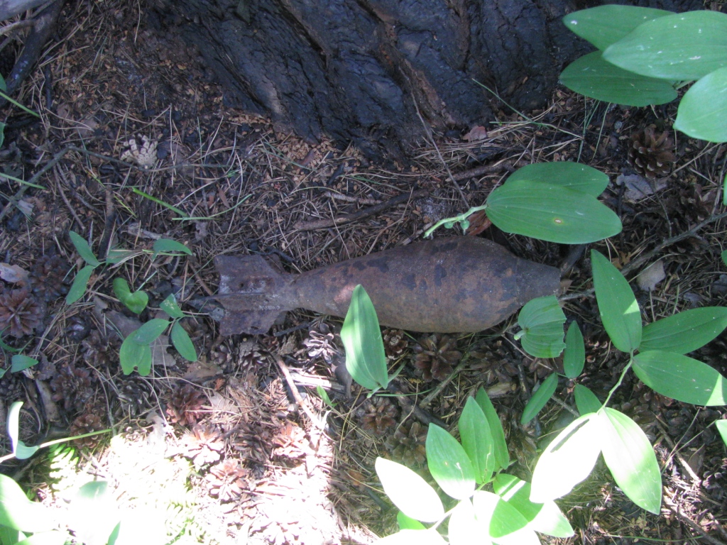    (). Unexploded mortar round (destruction)