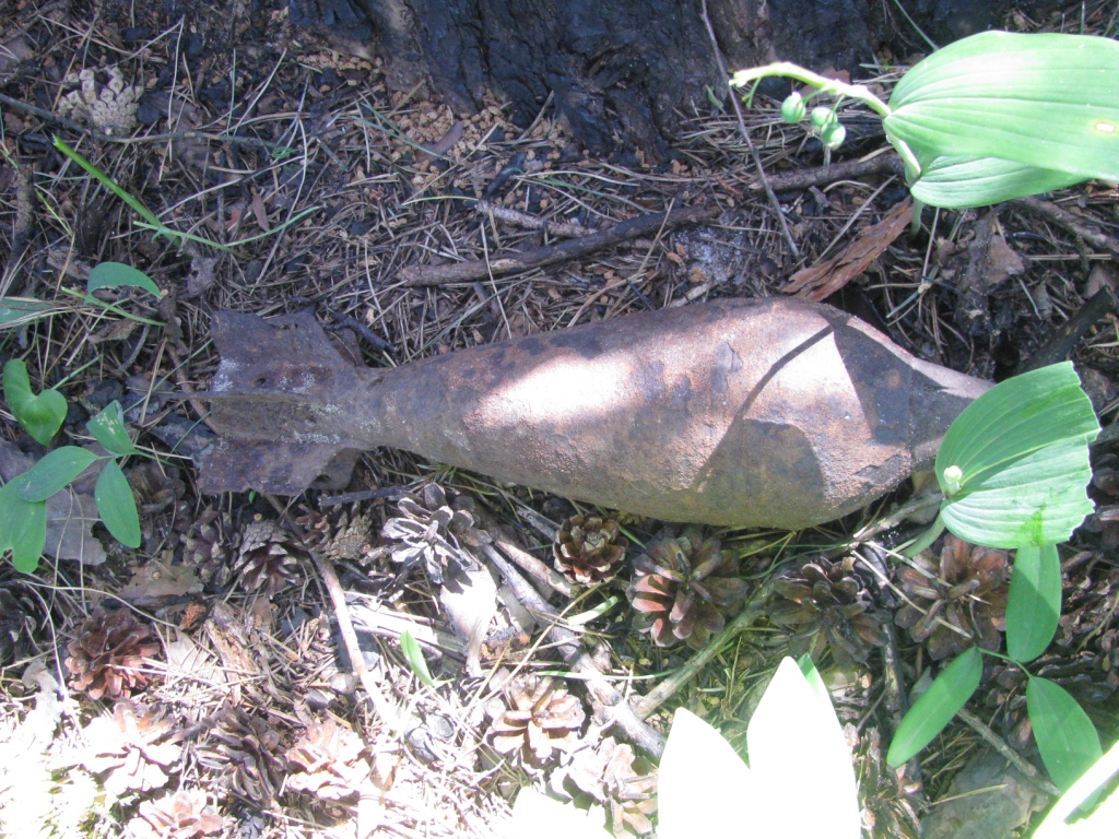    (). Unexploded mortar round (destruction)