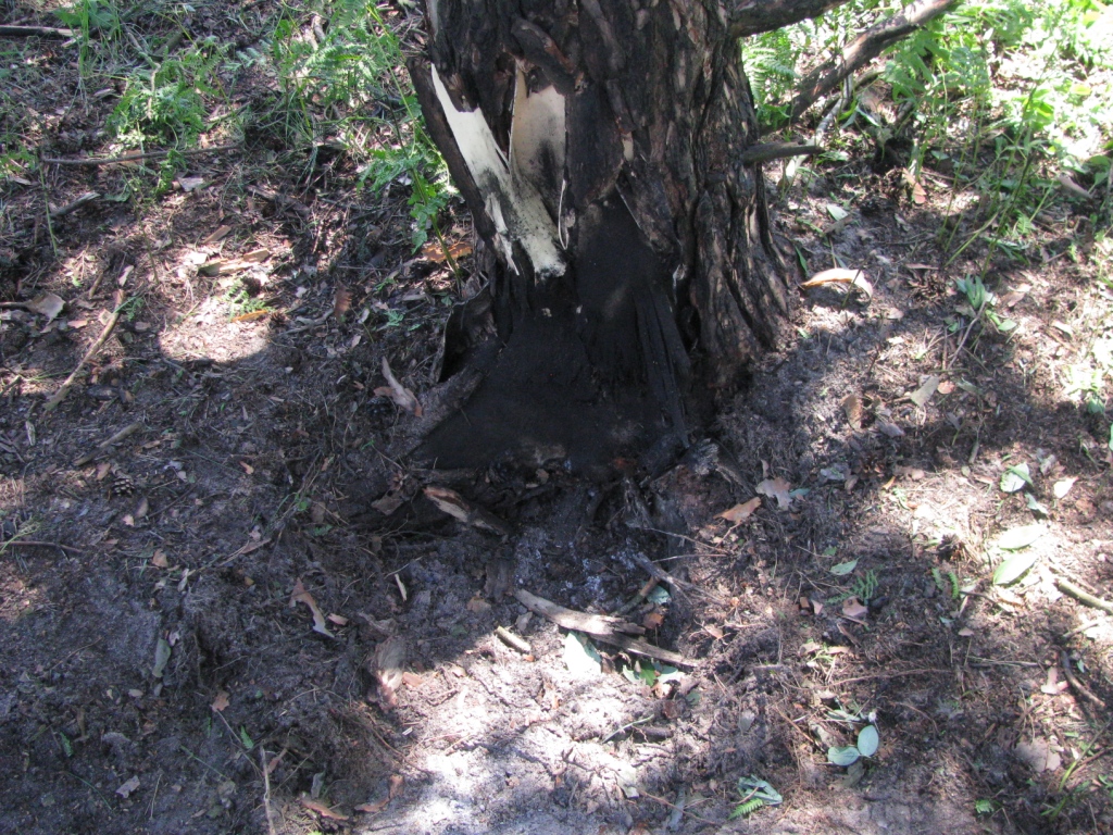    (). Unexploded mortar round (destruction)