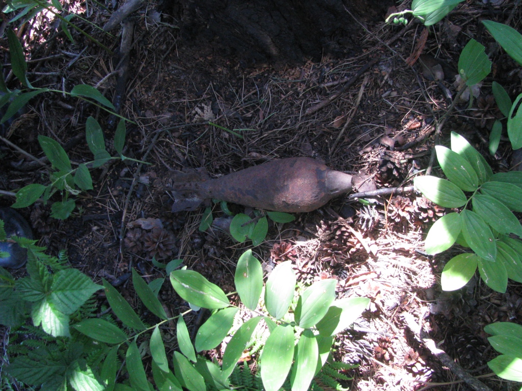    (). Unexploded mortar round (destruction)