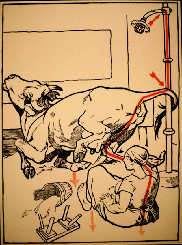   1931 ,  ,        . These diagrams from 1931 illustrate some ways to die of electrocution