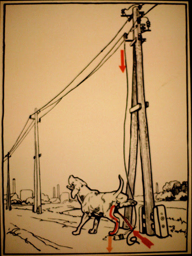   1931 ,  ,        . These diagrams from 1931 illustrate some ways to die of electrocution