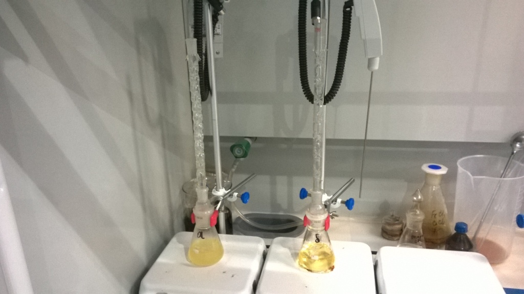    (). Diethanolamides of vegetable oils (synthesis)