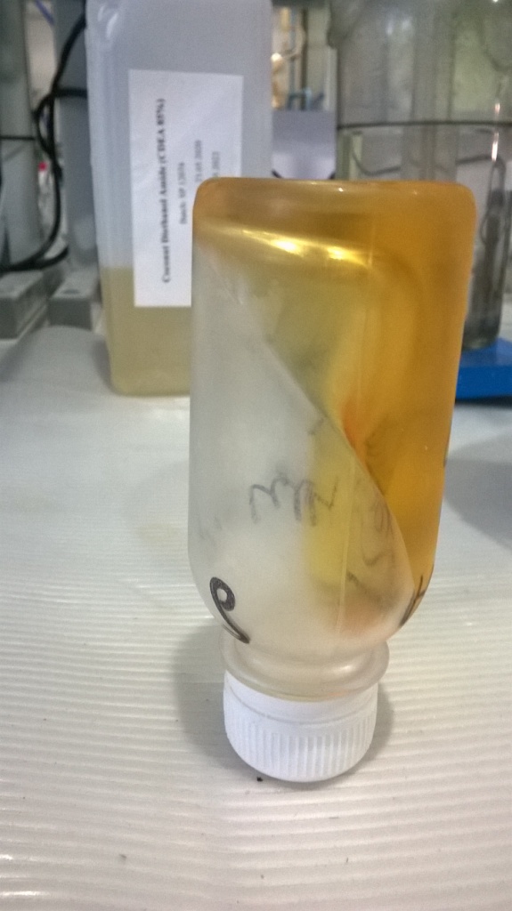    (). Diethanolamides of vegetable oils (synthesis)