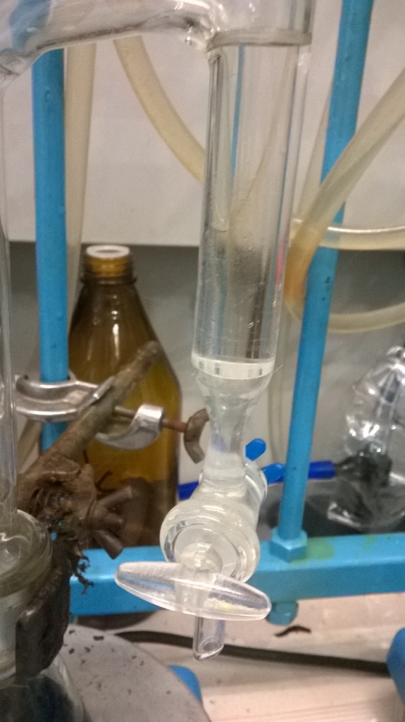    (). Diethanolamides of vegetable oils (synthesis)