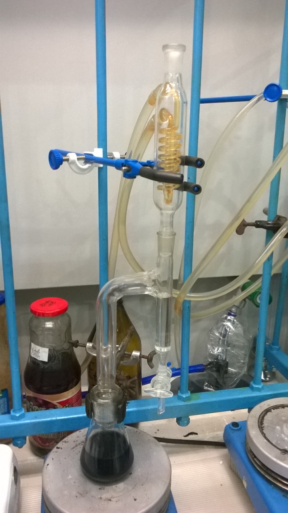    (). Diethanolamides of vegetable oils (synthesis)