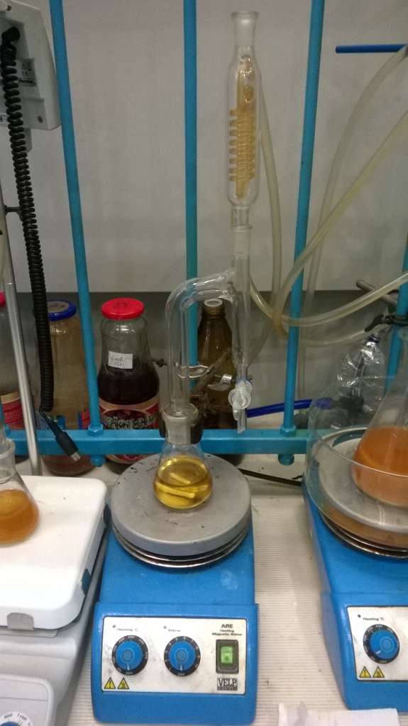    (). Diethanolamides of vegetable oils (synthesis)