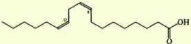    (). Diethanolamides of vegetable oils (synthesis)