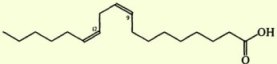    (). Diethanolamides of vegetable oils (synthesis)