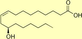    (). Diethanolamides of vegetable oils (synthesis)