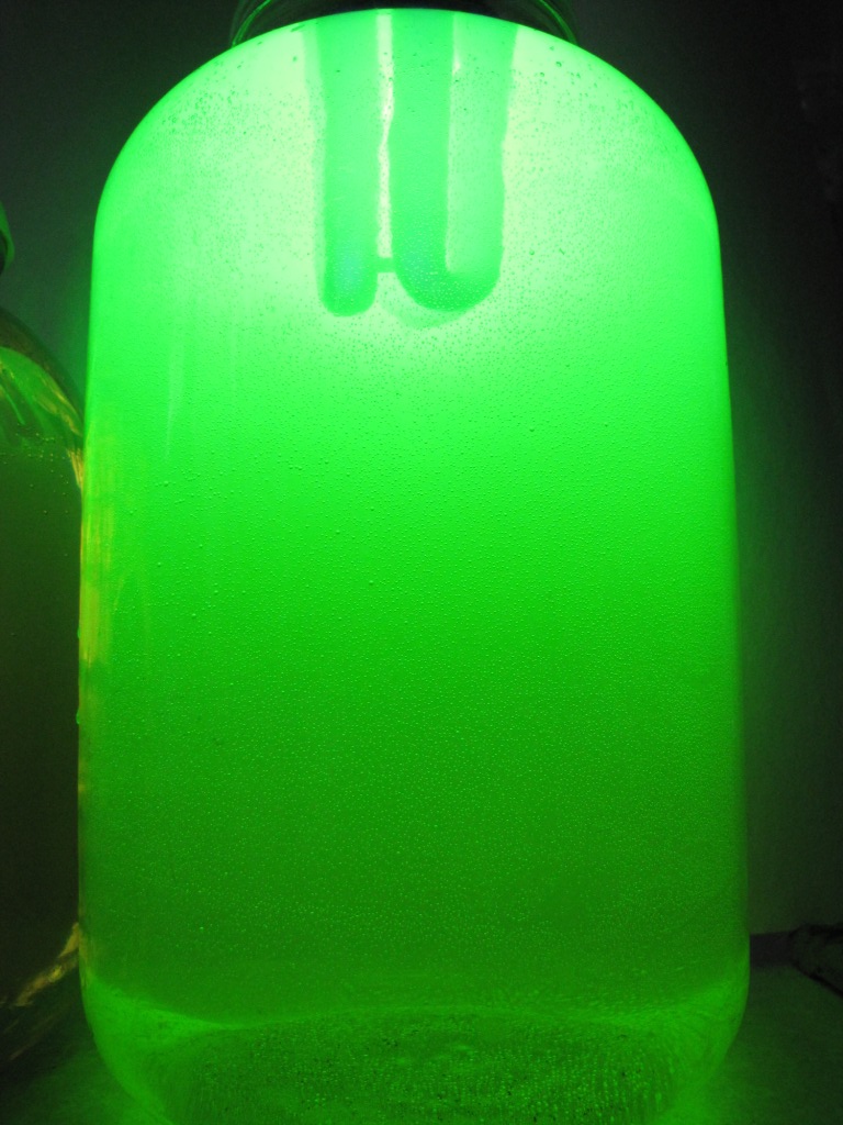 Раствор флуоресцеина в ультрафиолетовом свете
