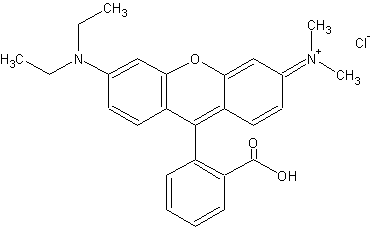   (Rhodamine B)