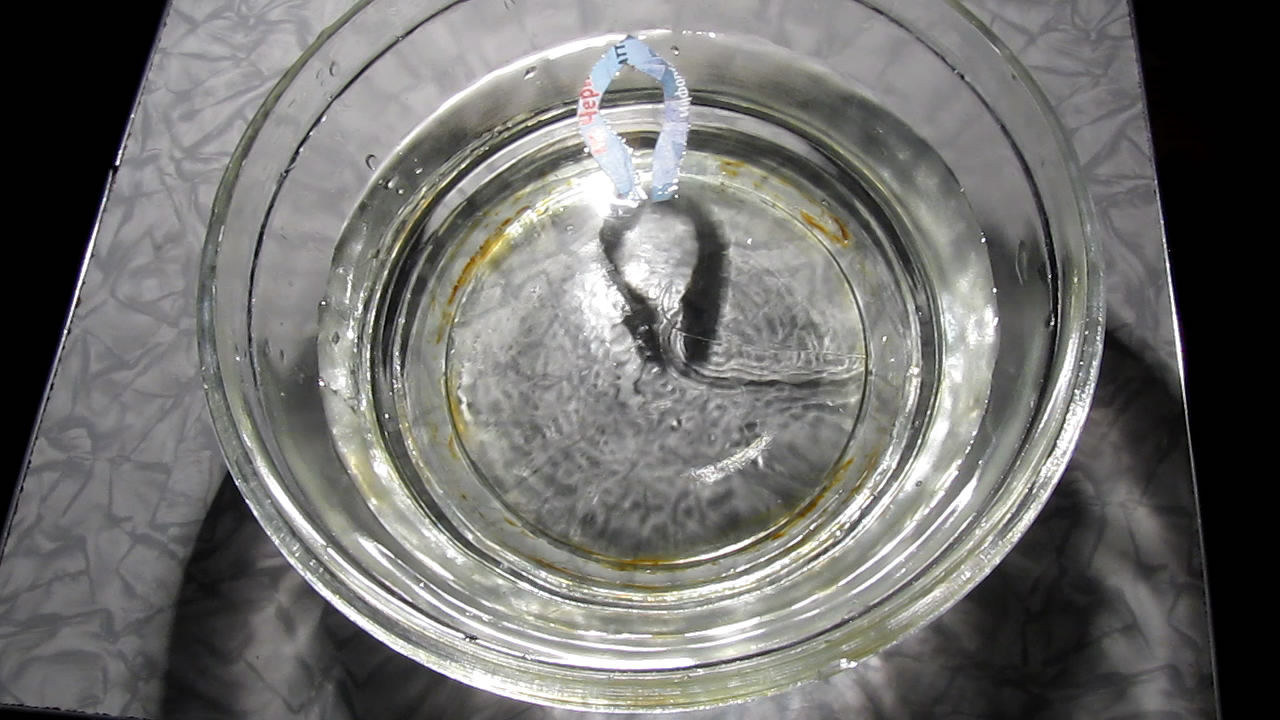    :  . Paper Fish (Surface Tension Experiment)