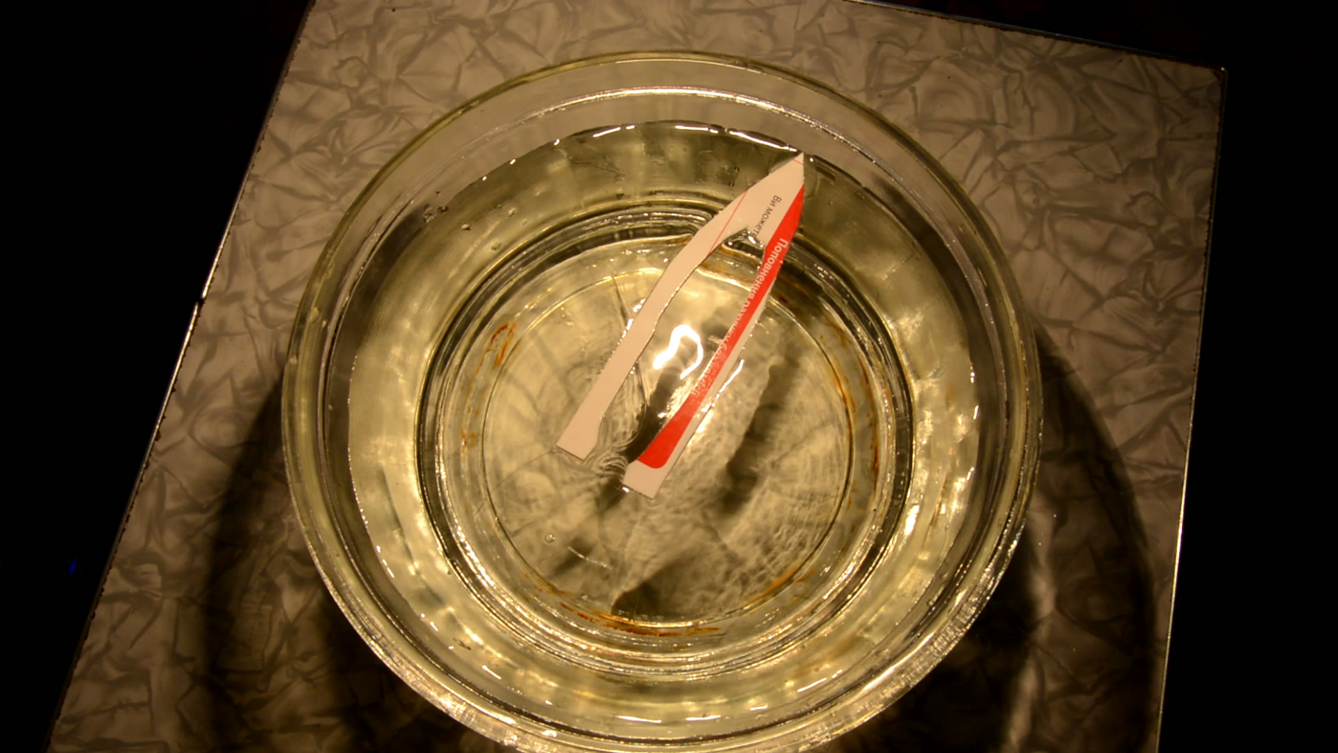    :  . Paper Fish (Surface Tension Experiment)