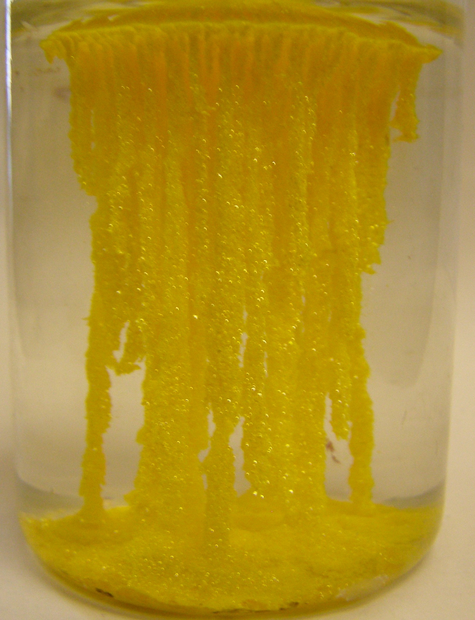  . (  ). Golden Stalactites. (Precipitation of lead iodide)