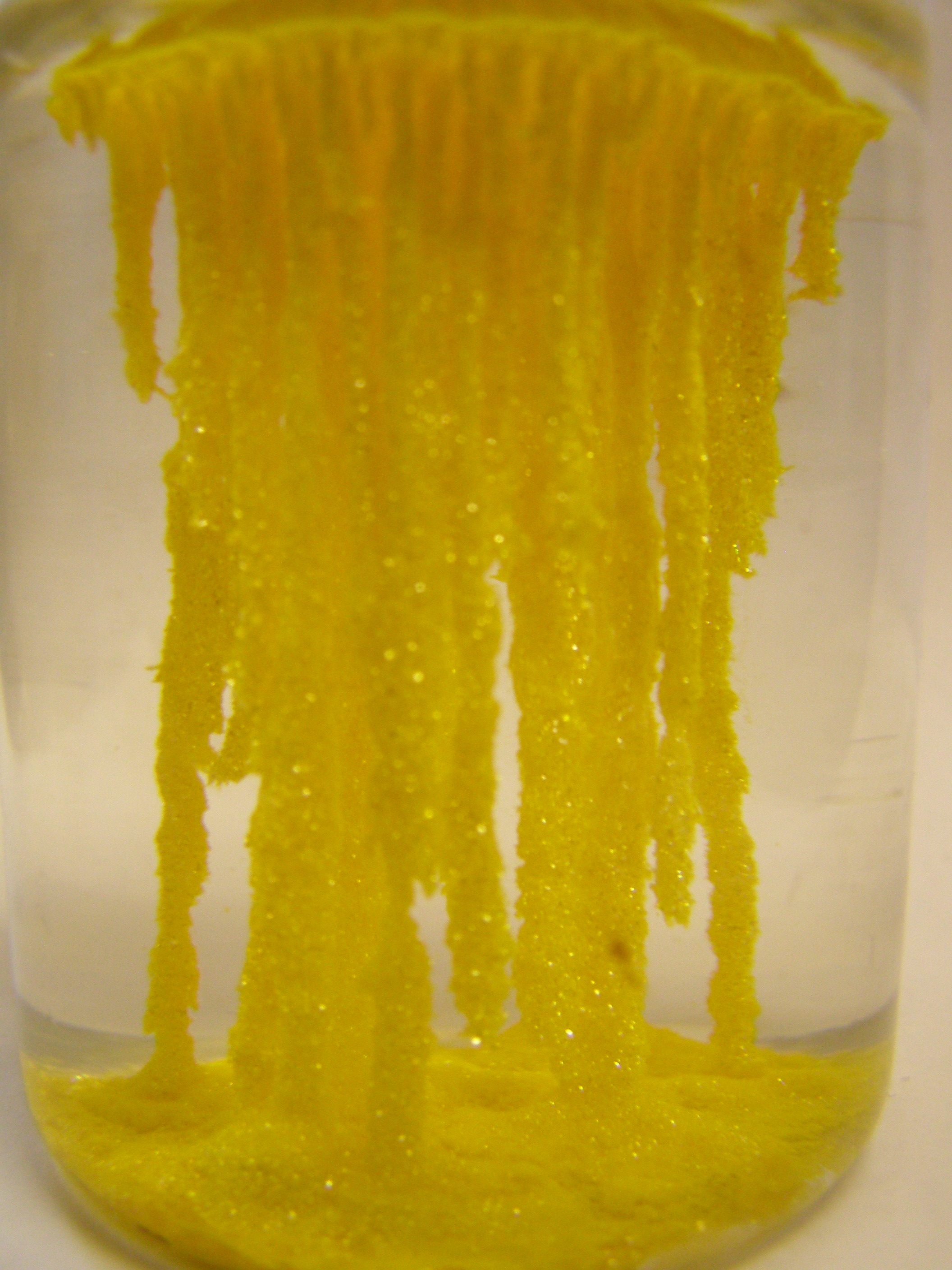  . (  ). Golden Stalactites. (Precipitation of lead iodide)