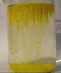  . (  ). Golden Stalactites. (Precipitation of lead iodide)