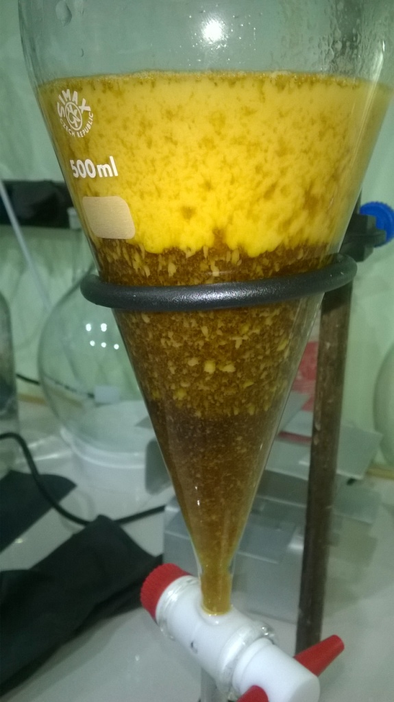     . Sunflower oil and sulfuric acid