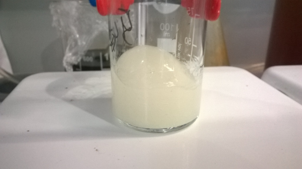     . Non-Newtonian fluid and magnetic stirrer