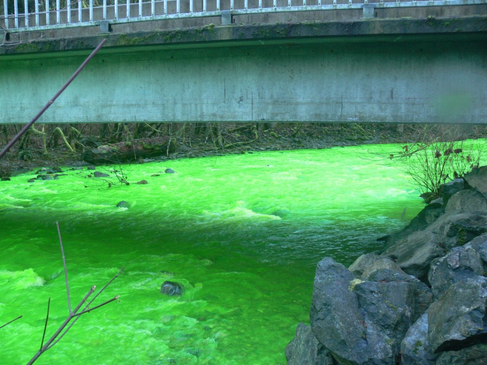     (Goldstream River)