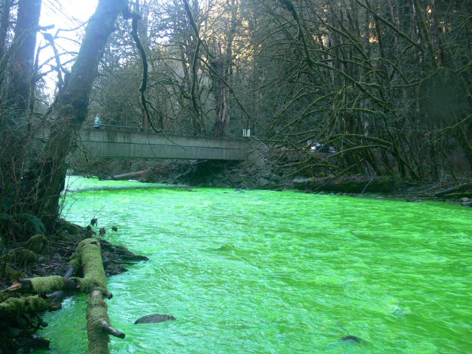     (Goldstream River)