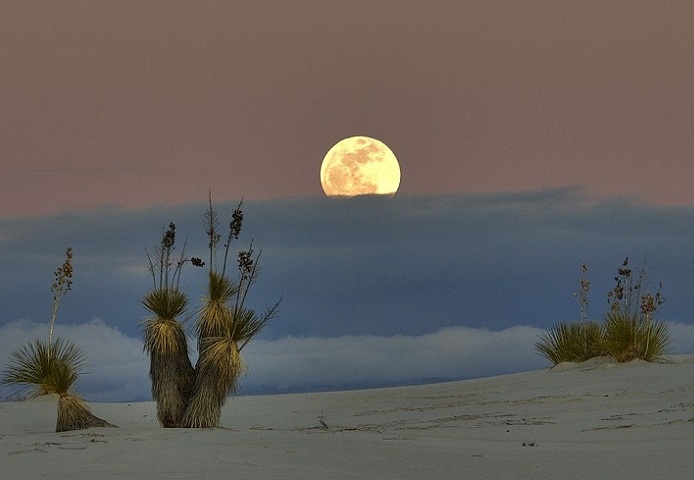    (White Sands Desert)