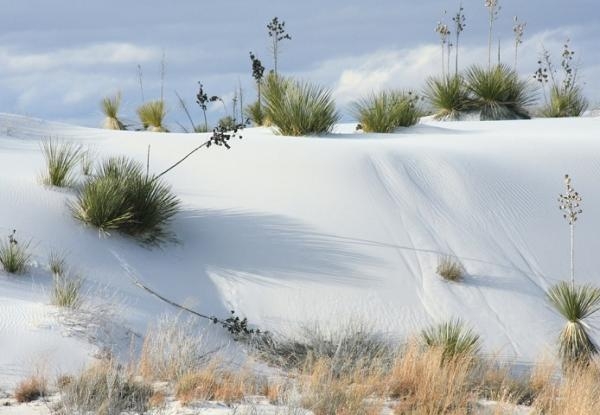    (White Sands Desert)