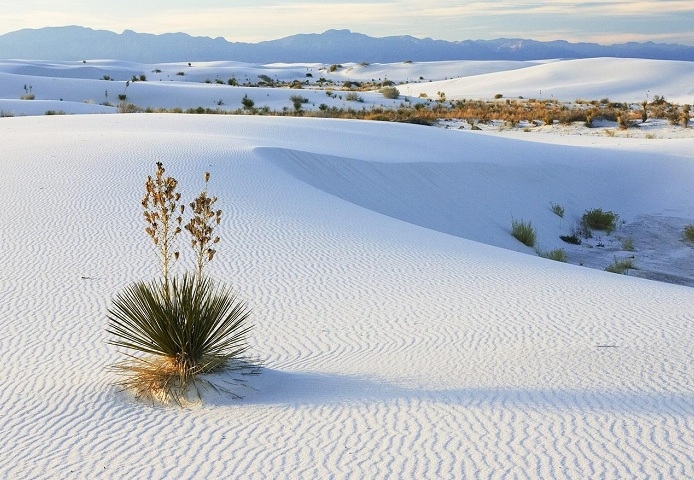    (White Sands Desert)