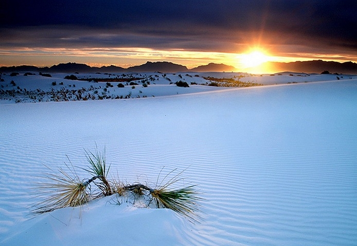    (White Sands Desert)