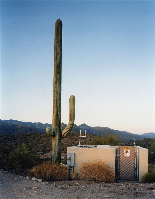  ,   -   (. Sonoran Desert; . Desierto de Sonora) -    ,       