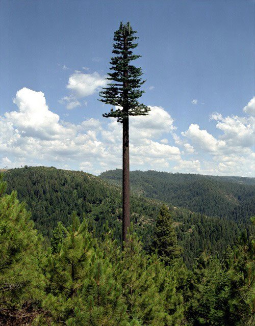       . Cell phone tower disguised as a super tree