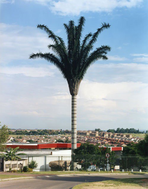      . Cell phone tower disguised as a super palm tree