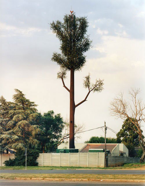      . Cell Tower Tree