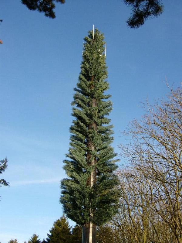   ,    (, ). Cell Tower Fir Tree in Bedfordshire, United Kingdom