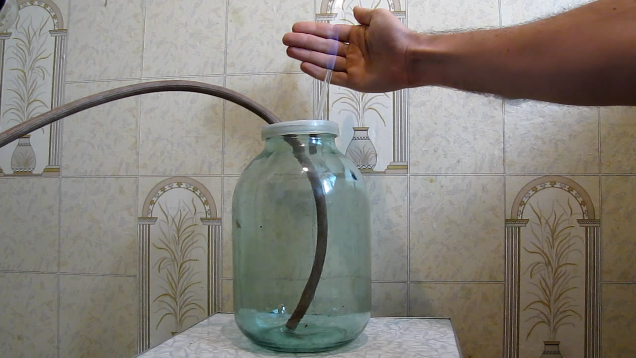 Fly (insect) and German cockroach in atmosphere of methane.      