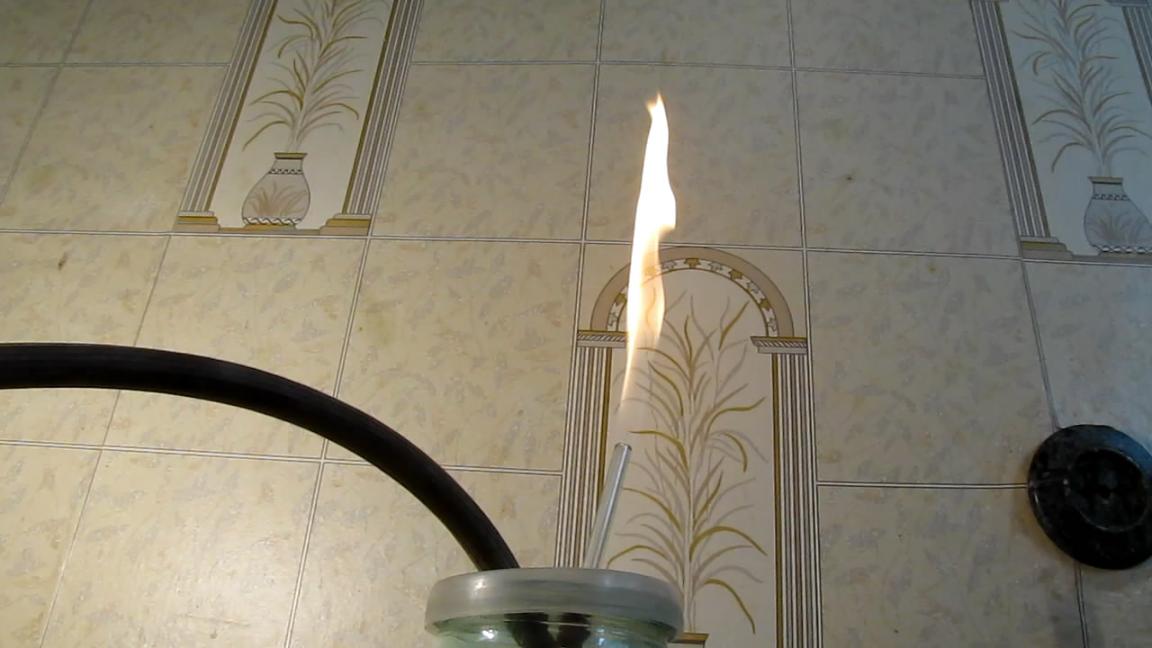 Fly (insect) and German cockroach in atmosphere of methane.      