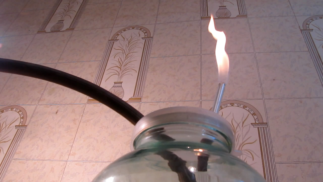 Fly (insect) and German cockroach in atmosphere of methane.      