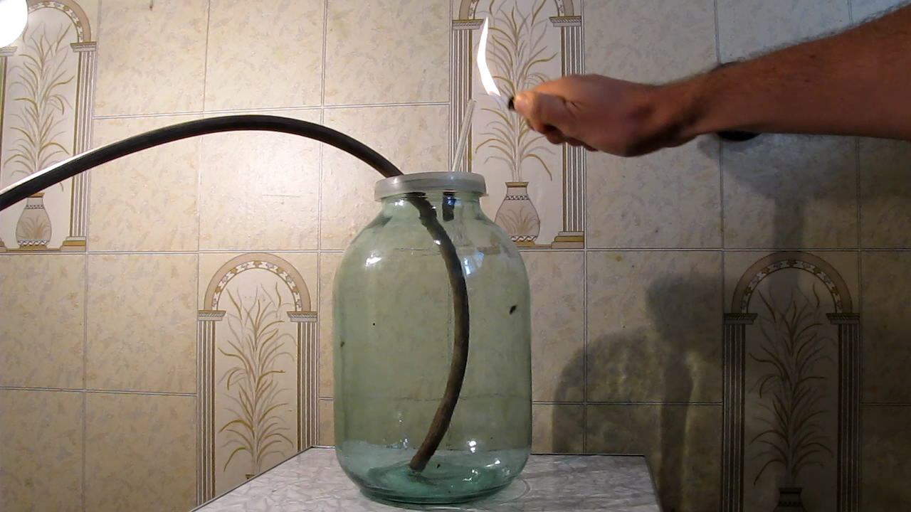 Fly (insect) and German cockroach in atmosphere of methane.      