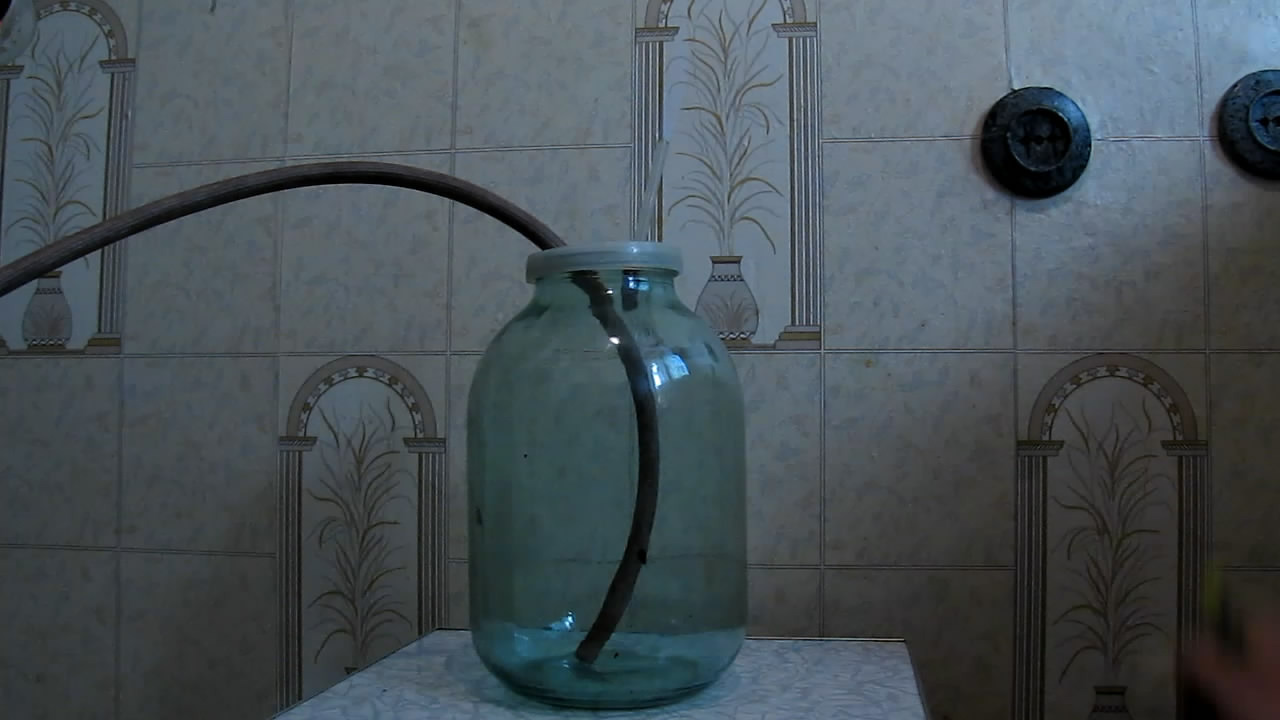 Fly (insect) and German cockroach in atmosphere of methane.      