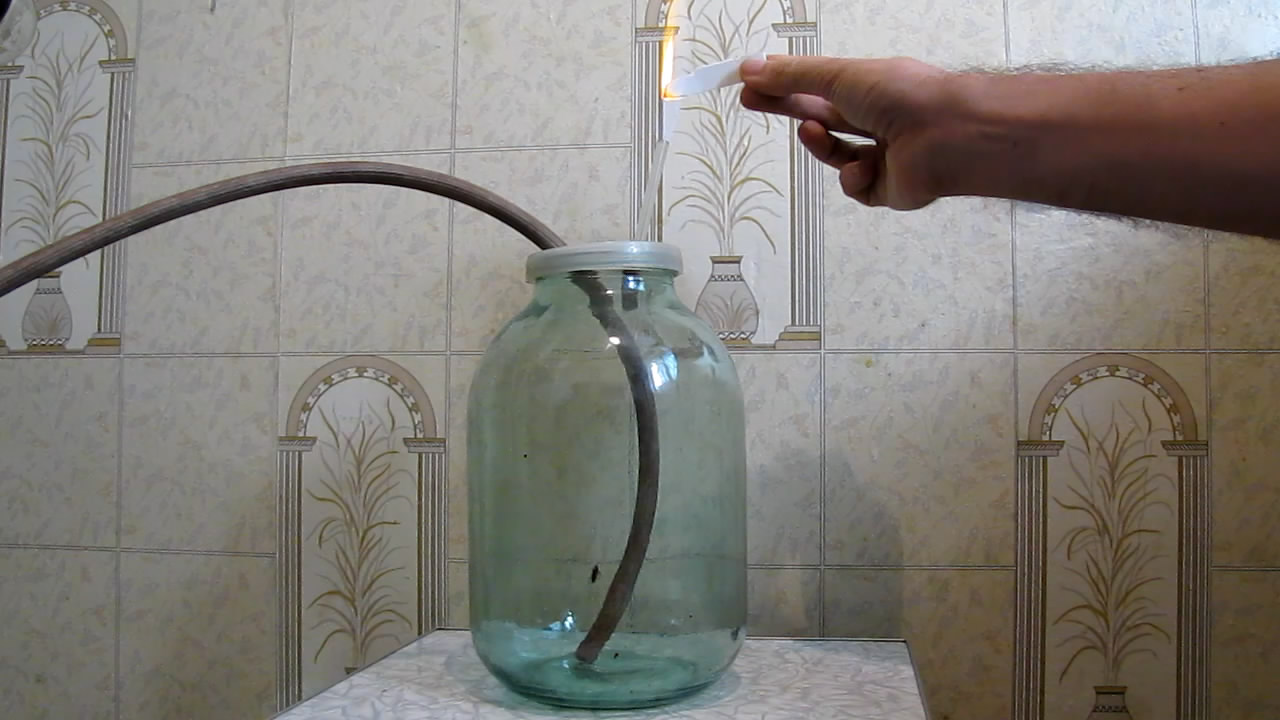 Fly (insect) and German cockroach in atmosphere of methane.      