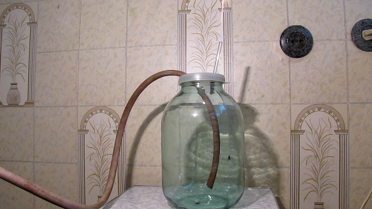    . Fly (insect) in atmosphere of methane
