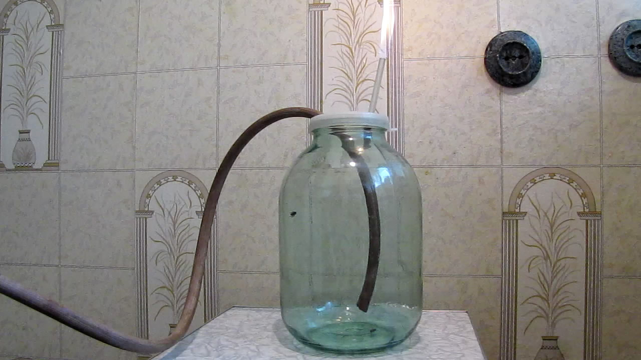    . Fly (insect) in atmosphere of methane