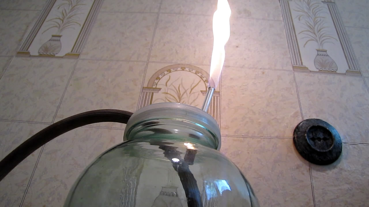    . Fly (insect) in atmosphere of methane