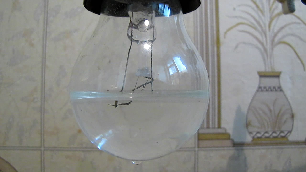  ,     (220 ) ? Incandescent light bulb (220V) filled with water