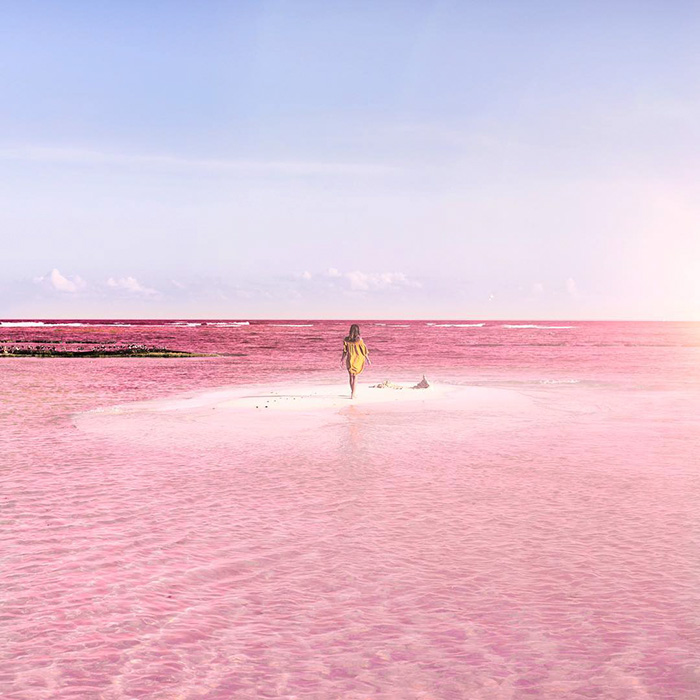   Las Coloradas. Pink lagoon Las Coloradas