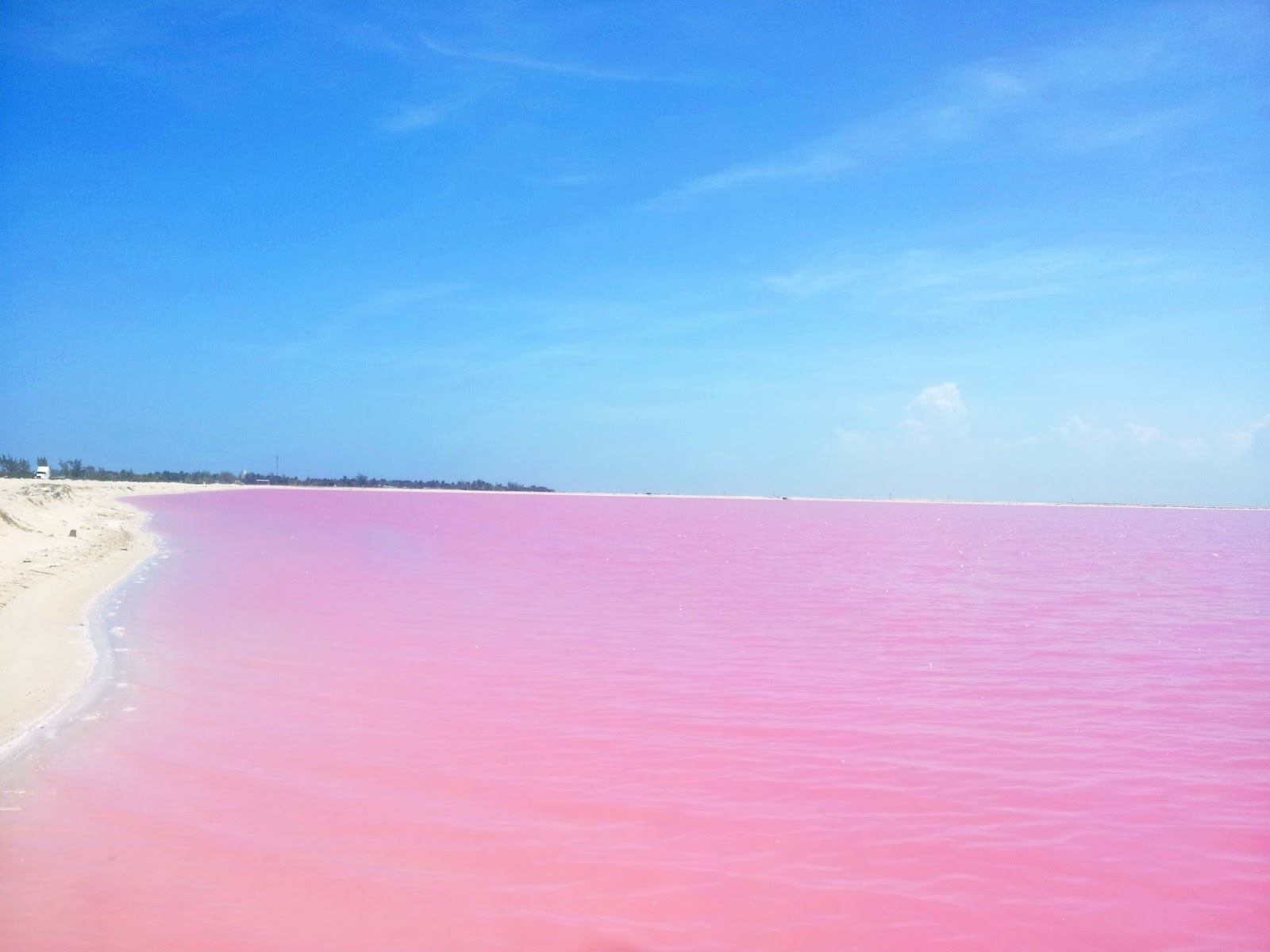   Las Coloradas. Pink lagoon Las Coloradas